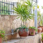 Casa Carina